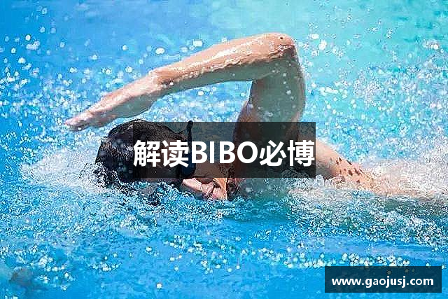 解读BIBO必博